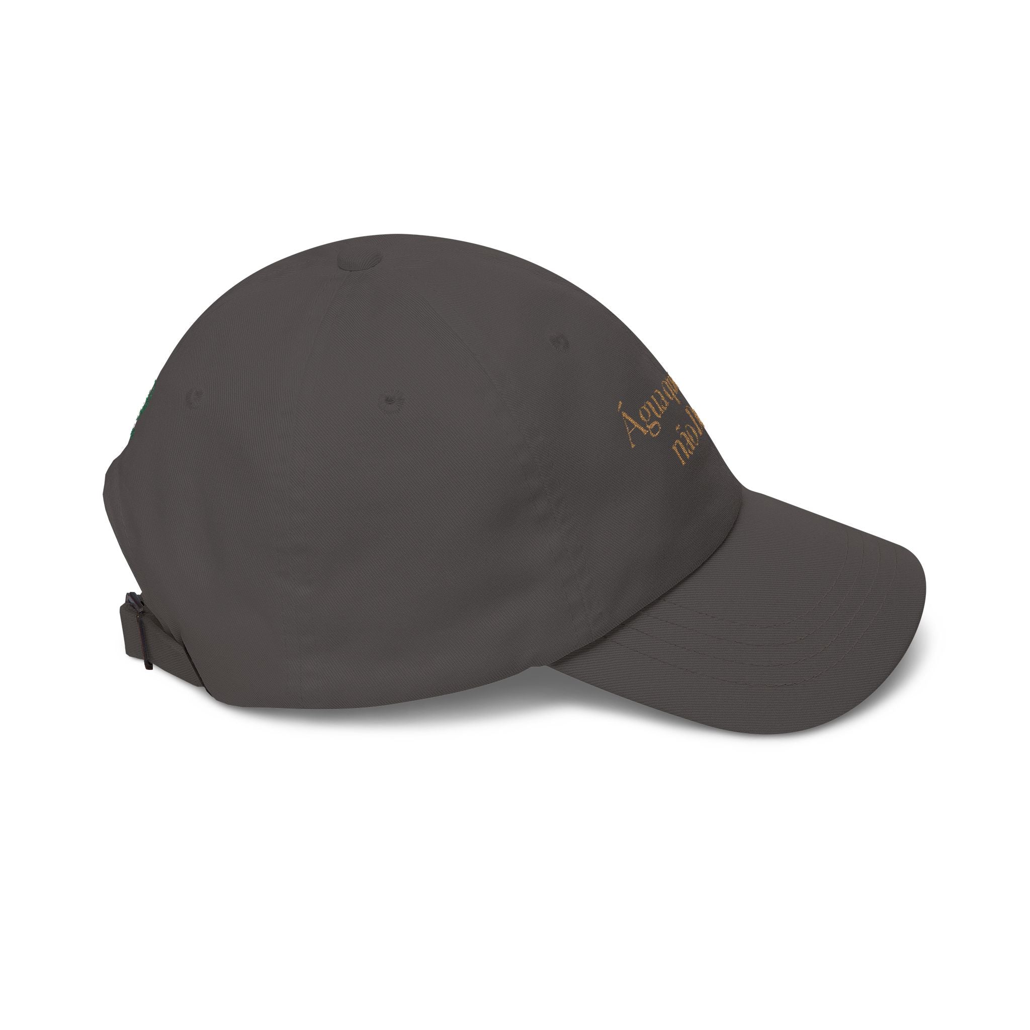 "Água que Birds não Bebe" Dad Cap