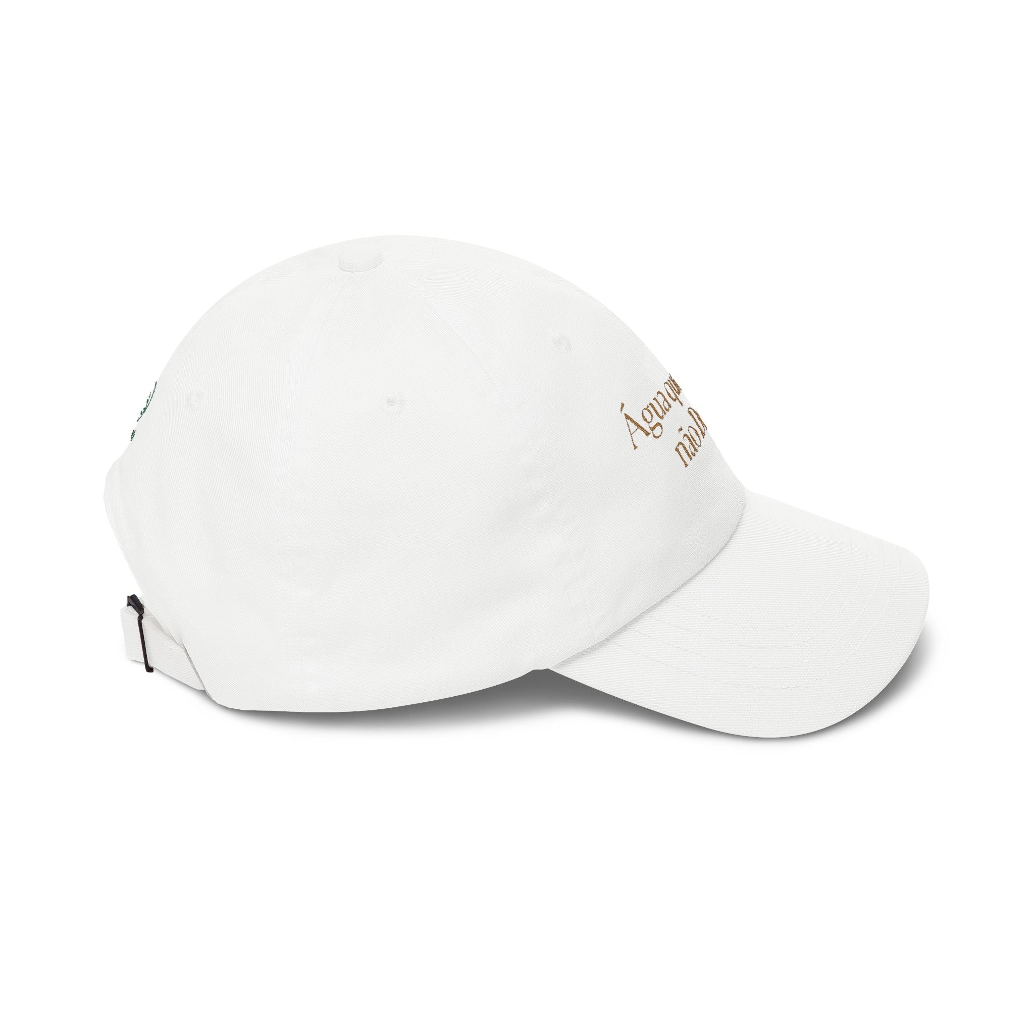 "Água que Birds não Bebe" Dad Cap